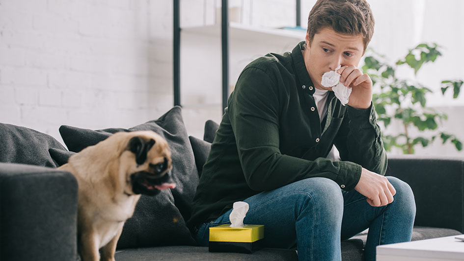 Purchasing an air purifier is one of the top methods to enhance your house’s indoor air quality. Learn more about the three smartest solutions. 