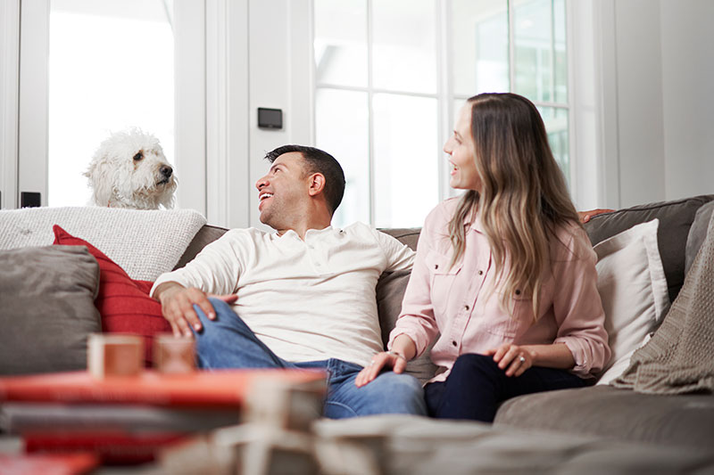 Solved!: Do Air Purifiers Help with Allergies?